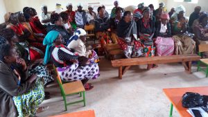 Aird Engaging Rural Women