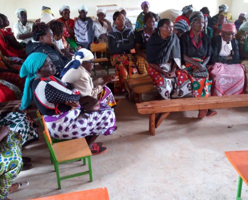 Aird Engaging Rural Women